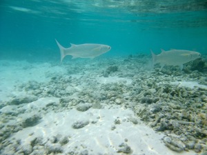 f0190653_1445784.jpg