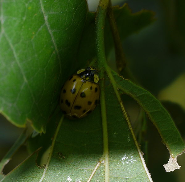 d0091754_1241881.jpg