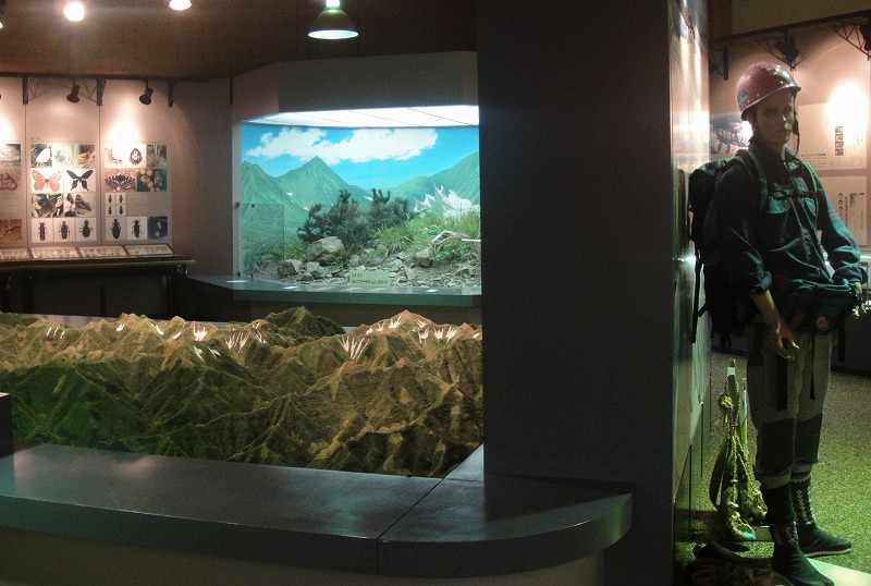 c0119160_1264375.jpg
