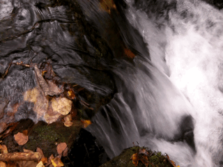 c0119160_1811478.gif