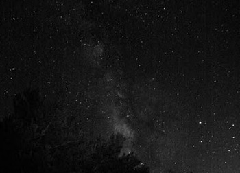 c0119160_20214725.jpg