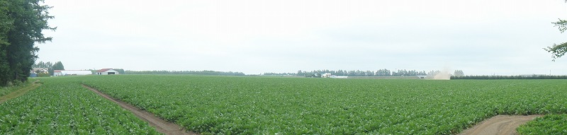 c0119160_3253891.jpg