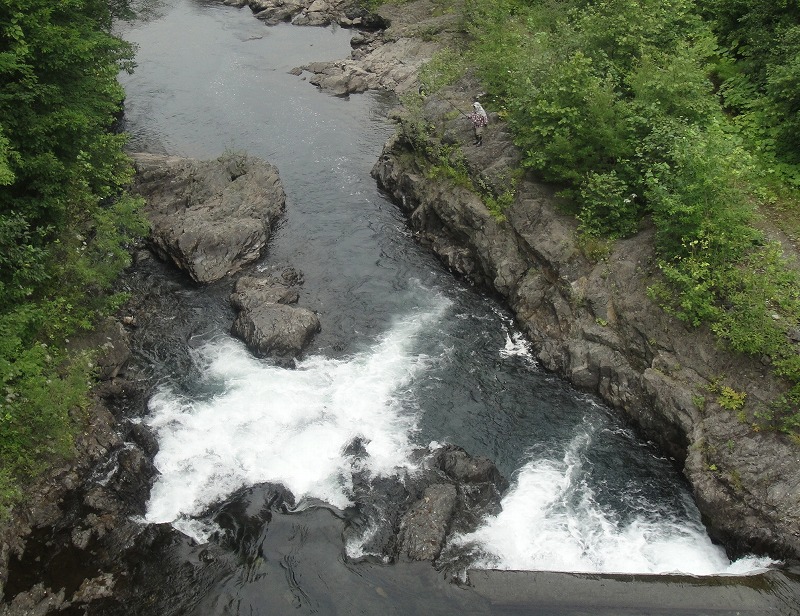 c0119160_8523818.jpg