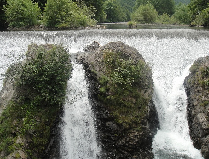 c0119160_8525719.jpg