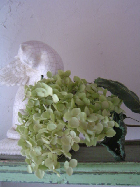 c0172261_1022573.jpg