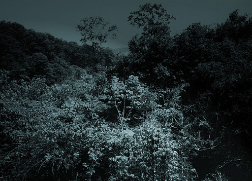e0066861_15134534.jpg