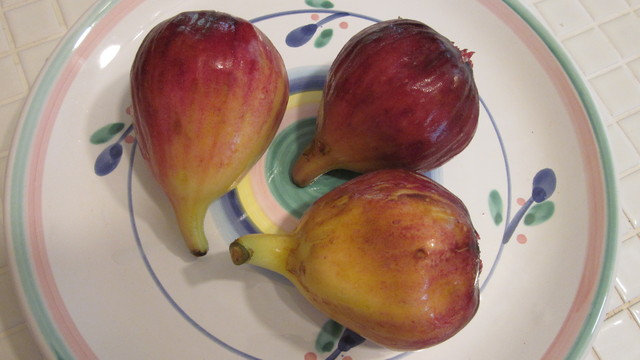 e0214662_15143443.jpg