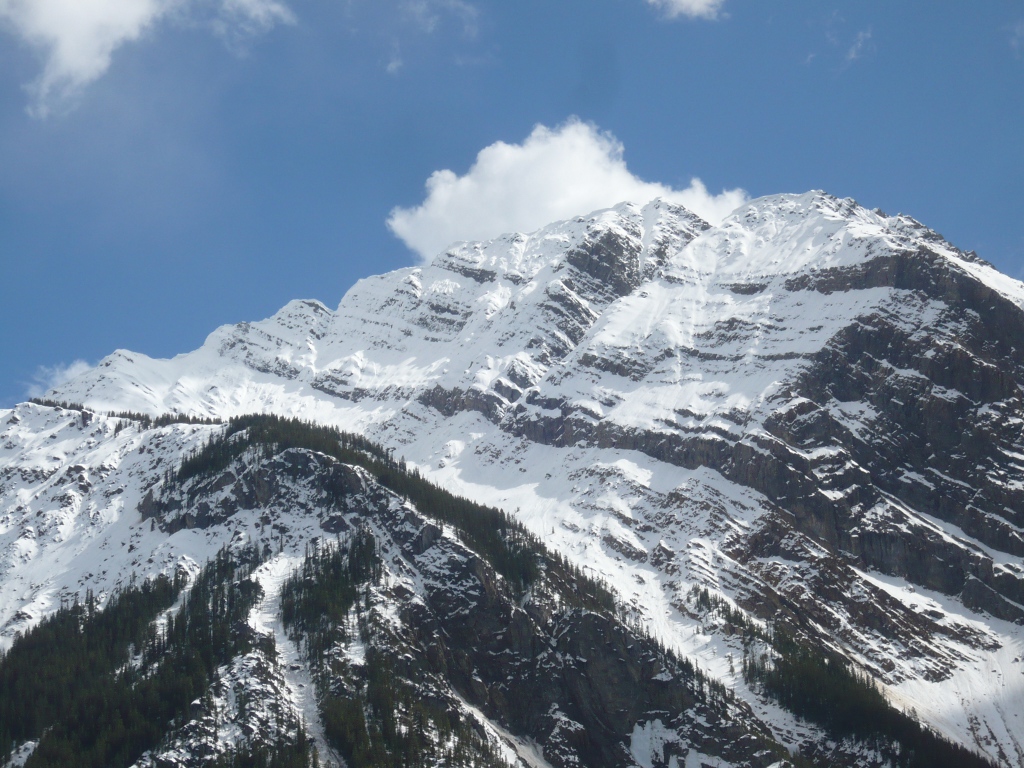 f0214562_810616.jpg