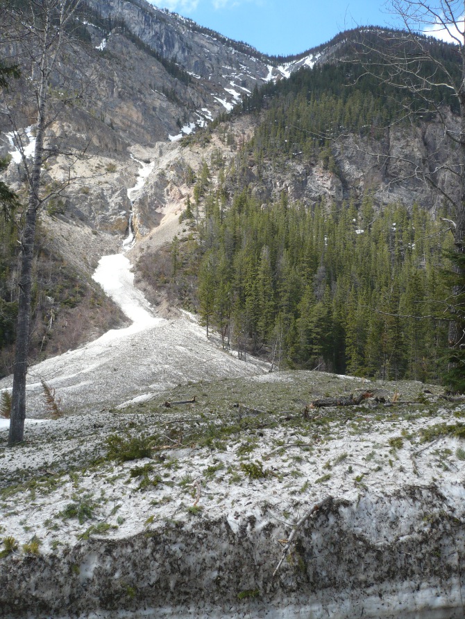 f0214562_8125655.jpg