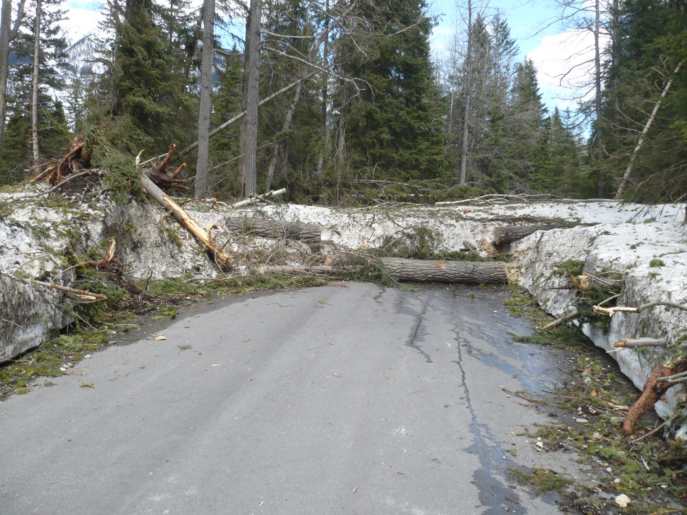 f0214562_8132632.jpg
