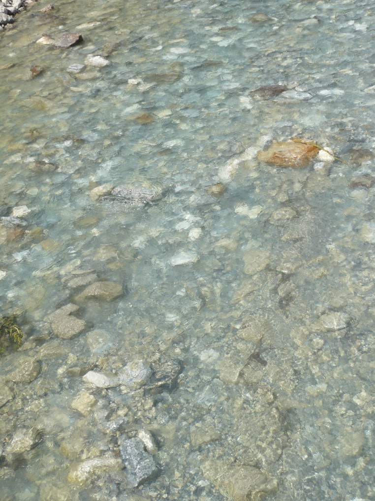f0214562_826931.jpg