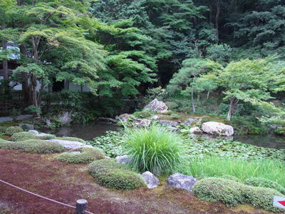 b0174463_1384867.jpg