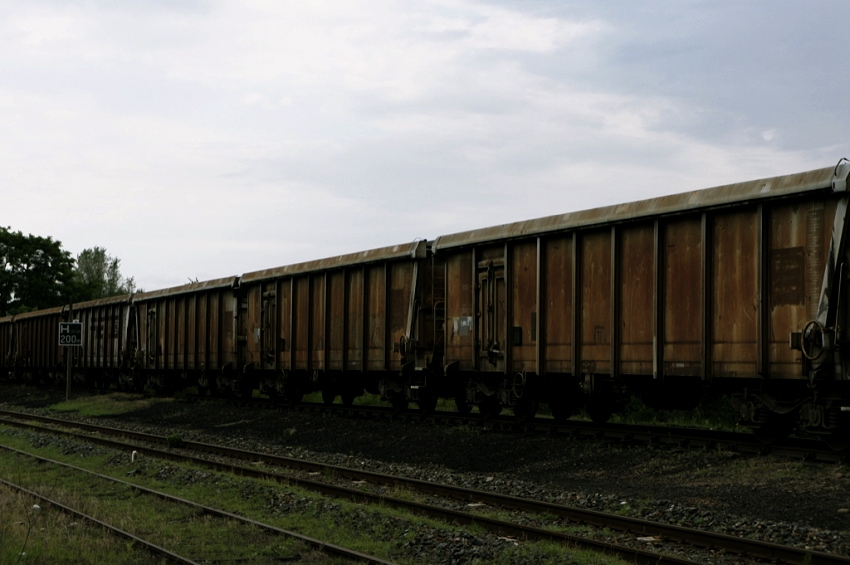 b0075366_16562677.jpg