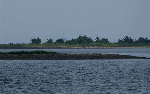 c0122266_814536.jpg
