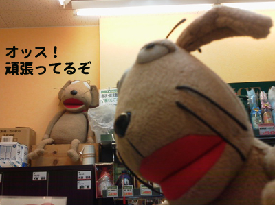 c0158573_1849765.jpg