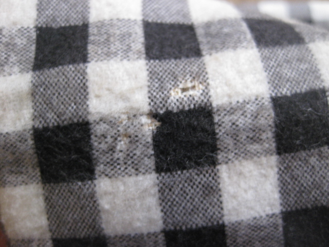 c0226387_1526527.jpg