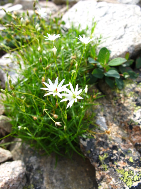 c0171790_11433399.jpg