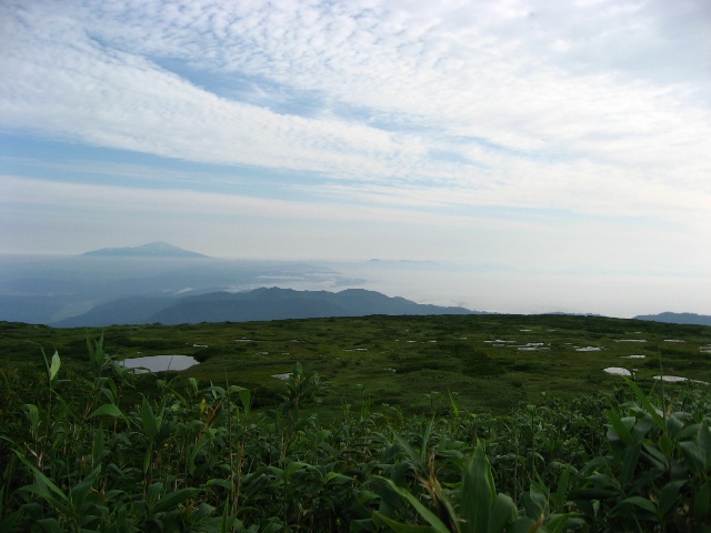 c0171790_224022.jpg