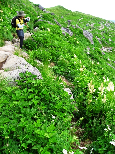 c0171790_2251070.jpg