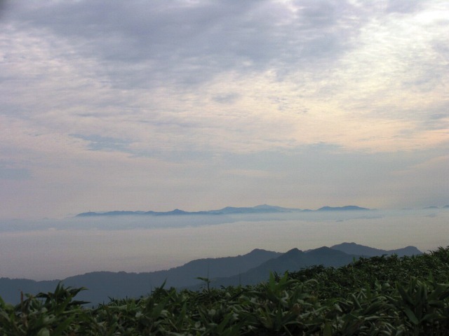 c0171790_2355716.jpg