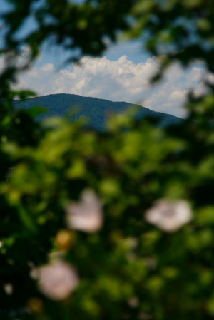 d0133693_923532.jpg
