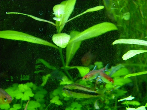f0138093_21284164.jpg