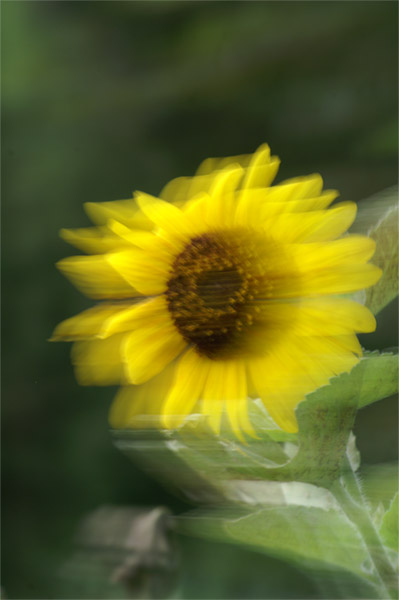 e0189298_21144480.jpg