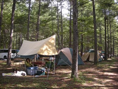 f0081100_1043640.jpg
