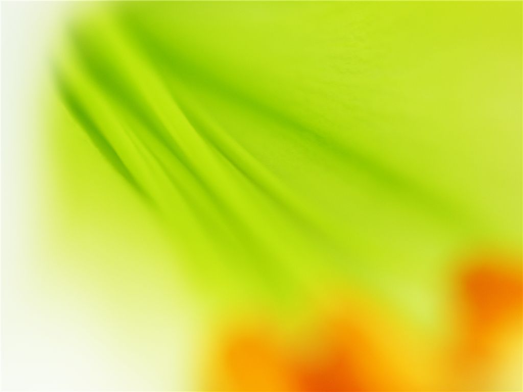 f0224100_192826100.jpg