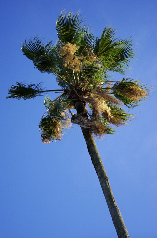 b0138101_17554430.jpg