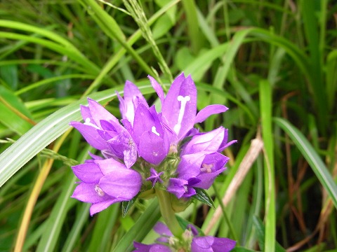 f0187402_18493755.jpg