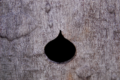 d0015006_23572357.jpg