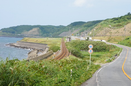 f0217507_2003727.jpg