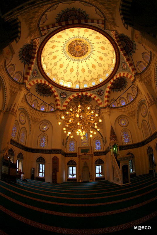 c0037611_231494.jpg