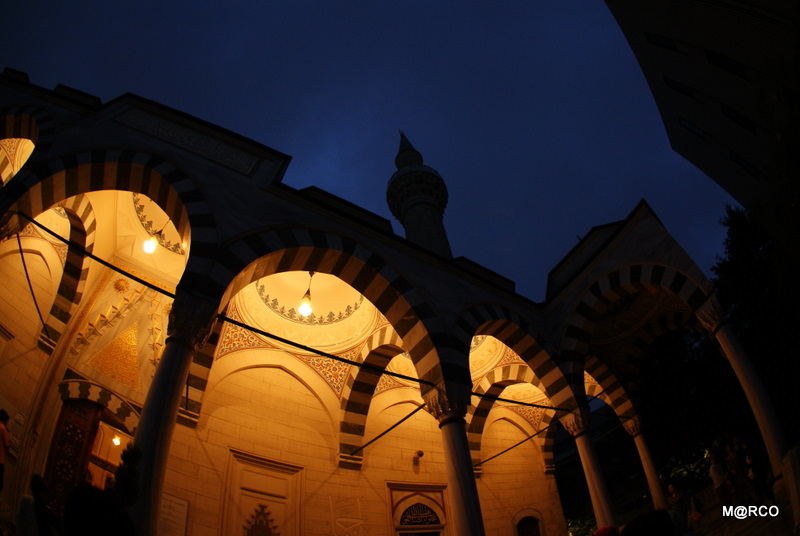 c0037611_2327848.jpg