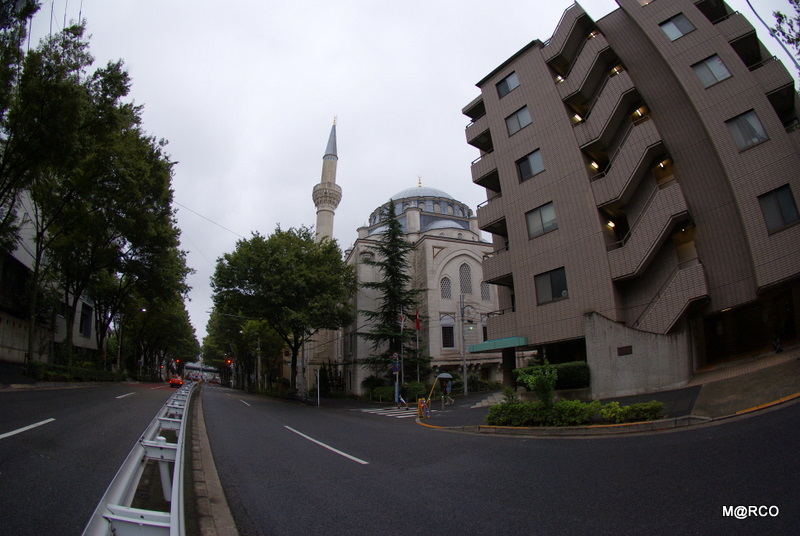 c0037611_2381182.jpg