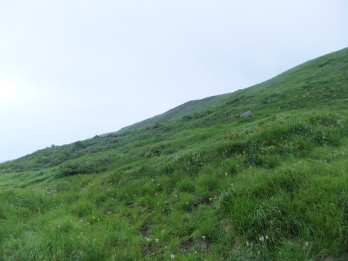 e0187912_1794329.jpg