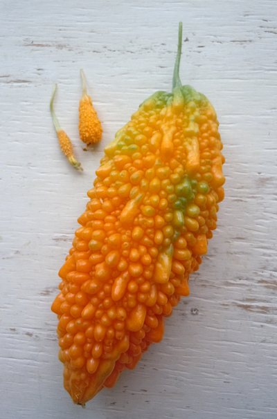 f0036716_0131080.jpg