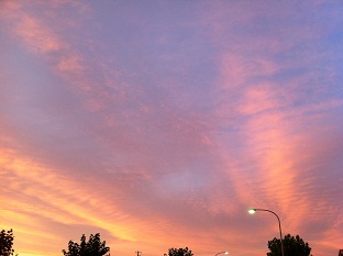 e0211717_20111767.jpg