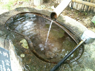 f0086618_043416.jpg