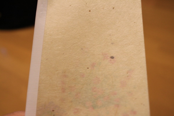 c0087023_1021059.jpg