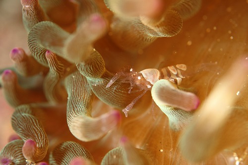 f0206424_9334871.jpg