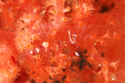 f0206424_9394593.jpg
