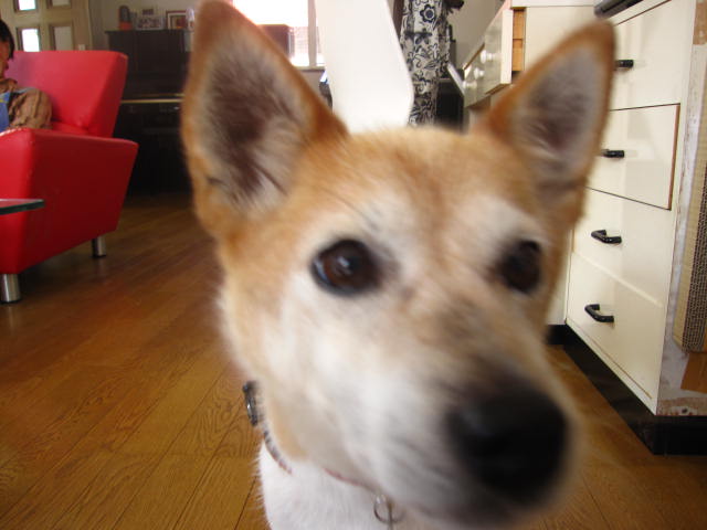 e0191826_025196.jpg