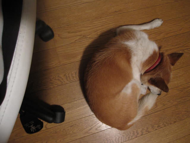 e0191826_0495354.jpg