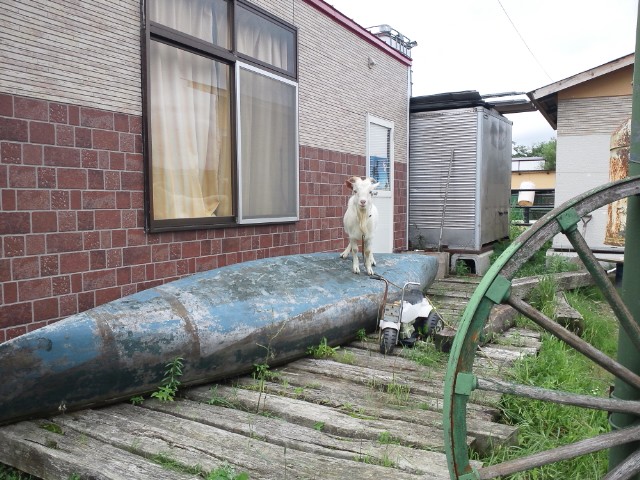 b0115328_6371.jpg