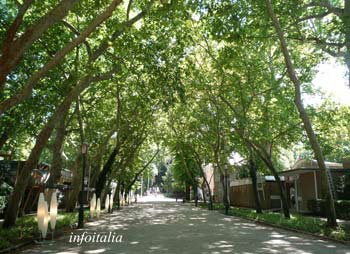 c0077533_2221195.jpg
