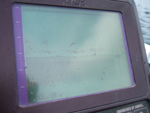 c0208836_1173540.jpg