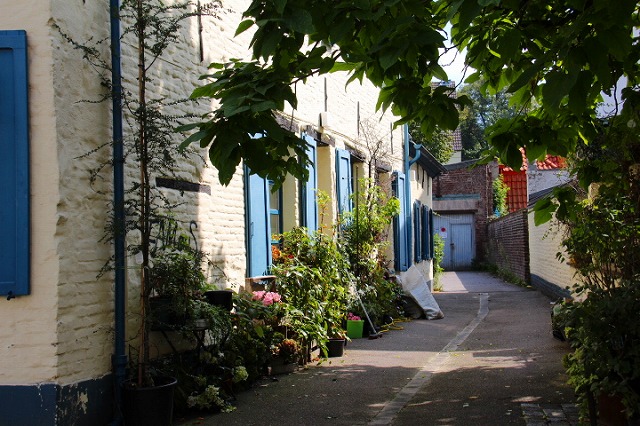 c0153740_2475128.jpg