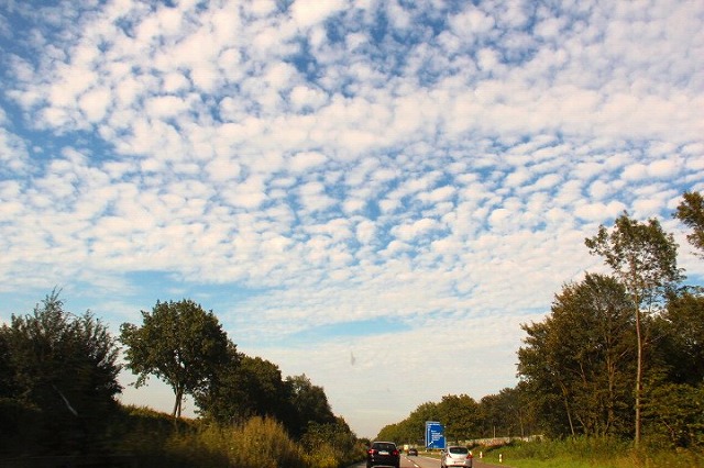 c0153740_3444014.jpg